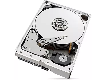 Seagate Dysk SkyHawkAI 10TB 3,5''256MB ST10000VE001