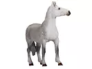 Figurka Orlov Trotter Animal Planet Rozmiar: XL