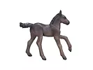 Figurka Arabian Foal Black Animal Planet