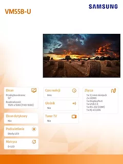 Samsung Monitor profesjonalny VM55B-U 55 cali Video Wall Matowy 24h/7 500(cd/m2) 1920 x 1080(FHD) N/A 3 lata d2d (LH55VMBUBGBXEN)