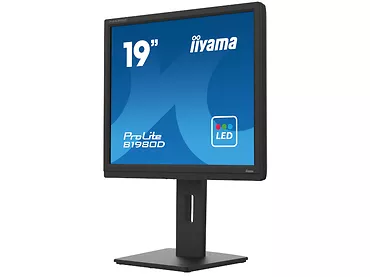 Monitor 19