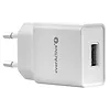 everActive Ładowarka sieciowa 1xUSB 2,4A, 12W