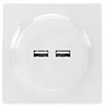 Fibaro Inteligentne gniazdko Walli Outlet USB N