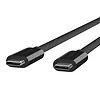 Belkin Kabel monitorowy USB-C