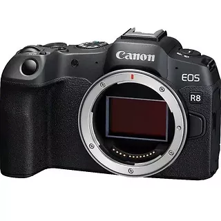 Canon Korpus EOS R8 5803C003