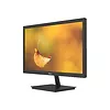 Dahua Monitor LCD 22 cale LM22-L200