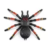 ZURU Robo Alive Figurka interaktywna Wielka Tarantula