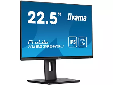 Monitor 22,5