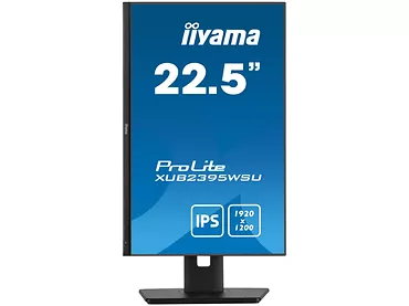 Monitor 22,5