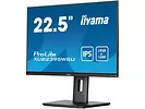 Monitor 22,5