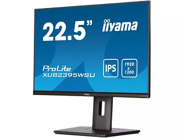 Monitor 22,5