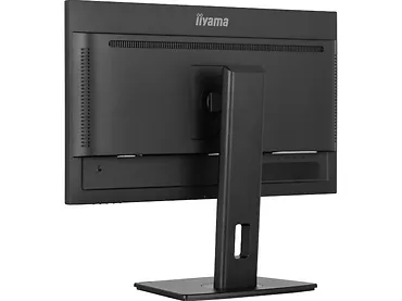 Monitor 24