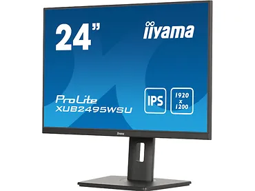 Monitor 24,1