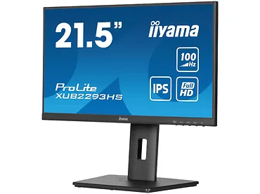 Monitor 22