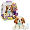 Cobi Maskotka interaktywna Little Live Pets - Piesek z transporterem