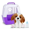 Cobi Maskotka interaktywna Little Live Pets - Piesek z transporterem