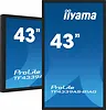 IIYAMA Monitor 43 cale TF4339AS-B1AG,IPS,4K,HDMIx2,DP,RJ45,3xUSB,40pkt,      ANDROID,24/7