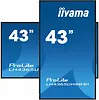 IIYAMA Monitor 43 cale LH4365UHSB-B1 24/7, IPS, ANDROID 11, 4K, 800cd, iiSignage2, SDM, 2x HDMI, DP, 2x USB,2x 10W, RJ45, WiFi, 4/32GB, PION/POZIOM, 400x400(vesa)