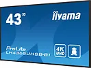 IIYAMA Monitor 43 cale LH4365UHSB-B1 24/7, IPS, ANDROID 11, 4K, 800cd, iiSignage2, SDM, 2x HDMI, DP, 2x USB,2x 10W, RJ45, WiFi, 4/32GB, PION/POZIOM, 400x400(vesa)