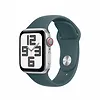 Apple Pasek sportowy w kolorze górskiego jeziora do koperty 40 mm - rozmiar S/M