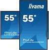 IIYAMA Monitor 55 cali LH5565UHSB-B1, 24/7, IPS, ANDROID 11, 4K, 800cd, iiSignage2, SDM, 2x HDMI, DP, 2x USB,2x 10W, RJ45, WiFi, 4/32GB, PION/POZIOM, 400x400(vesa)