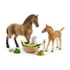 Schleich Zestaw pielęgnacyjny Quarter Horse + źrebię