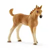 Schleich Zestaw pielęgnacyjny Quarter Horse + źrebię