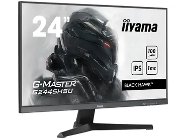 Monitor 24