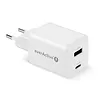 everActive Ładowarka sieciowa GaN 1X USB, 1X USB-C 45W QC4+ PD Biała