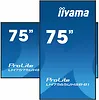 IIYAMA Monitor 75 cali LH7565UHSB-B1, 24/7, IPS, ANDROID 11, 4K, 800cd, iiSignage2, SDM, 2x HDMI, DP, 2x USB,2x 10W, RJ45, WiFi, 4/32GB, PION/POZIOM, 400x400(vesa)