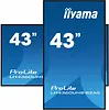 IIYAMA Monitor 43 LH4360UHS-B2A 24/7, 500cd, 4K, VA, Wifi, 6.5ms, 3xHDMI, 2xUSBR, J45, RS-232C