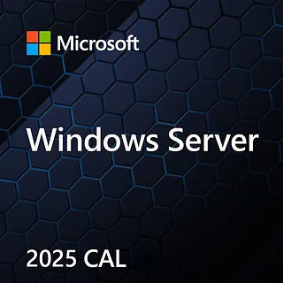 Microsoft OEM Win CAL 2025 Device PL  1Clt       EP2-25232