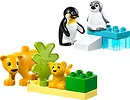 LEGO Klocki DUPLO 10442 Rodziny dzikich zwierząt: pingwiny i lwy