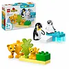 LEGO Klocki DUPLO 10442 Rodziny dzikich zwierząt: pingwiny i lwy