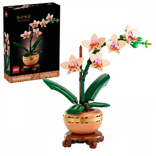 LEGO Klocki Botanicals 10343 Mała orchidea