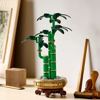 LEGO Klocki Botanicals 10344 Dracena sandera