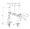 Neomounts Ramię do monitora DS60-600BL1