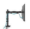 Neomounts Ramię do monitora DS60-600BL1