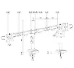 Neomounts Ramię do monitora DS60-600BL2